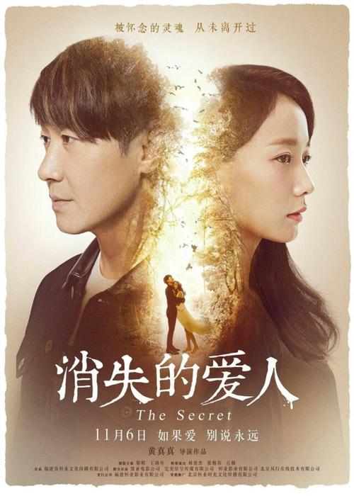 哪里能办假爱尔兰护照模板